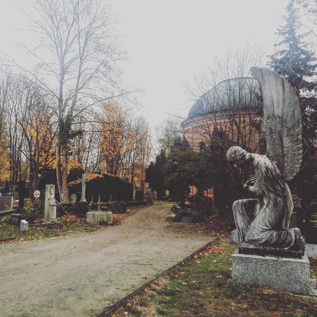 Domfriedhof / Foto: Sandra György